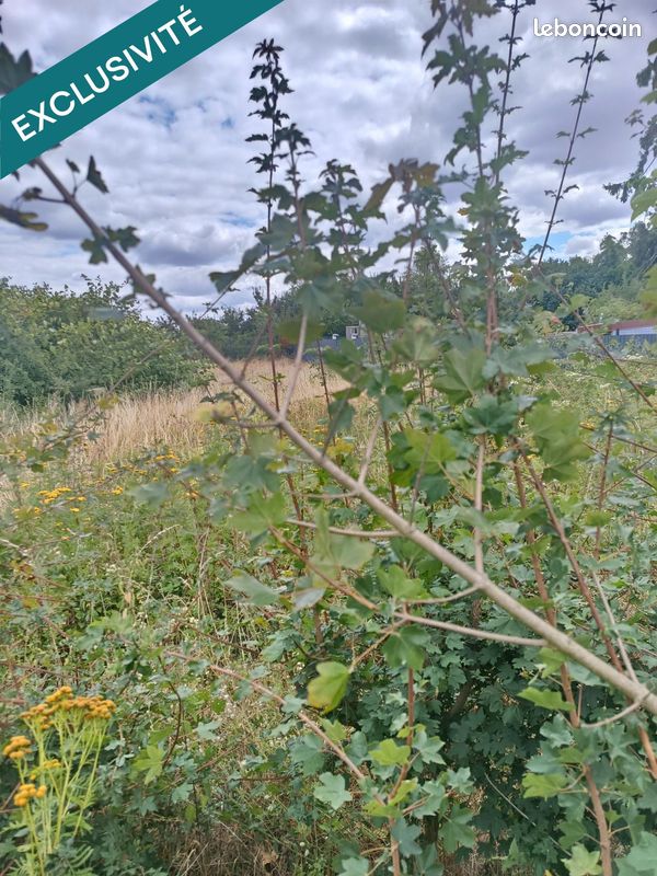 Terrain 450 m² · à Aniche · 450 m² · 65 000 €