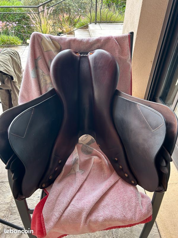 Silla de montar caballo bruno delgrange ecuestre, caballo, caballo