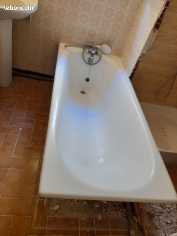Baignoire ancienne en fonte (image 1)