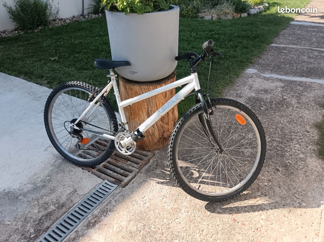 Vtt 26 pouces (image 1)