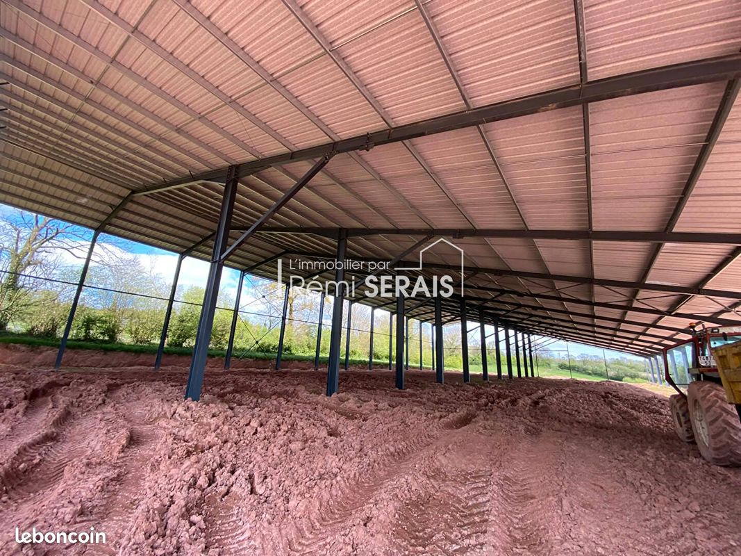 Local 4490 m² DIALAN SUR CHAINE (image 5)
