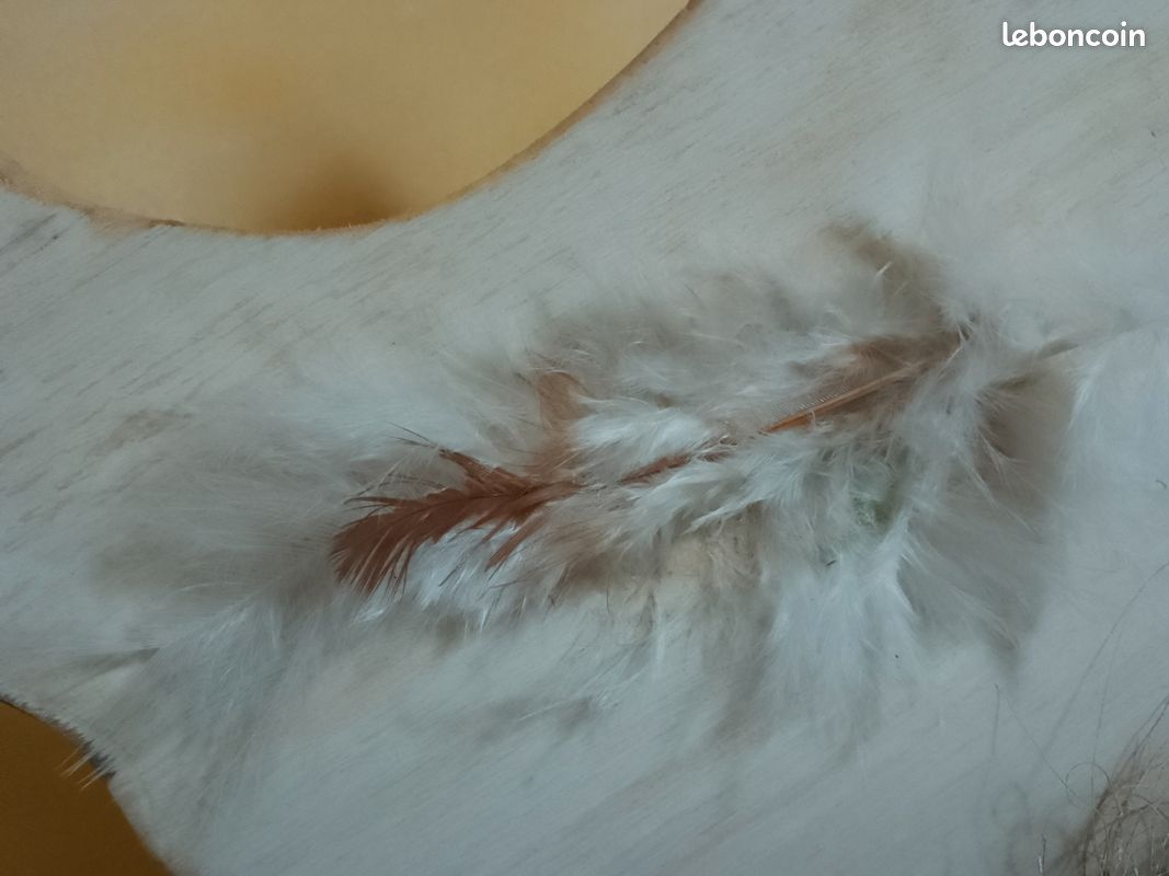 Poule en bois (image 2)