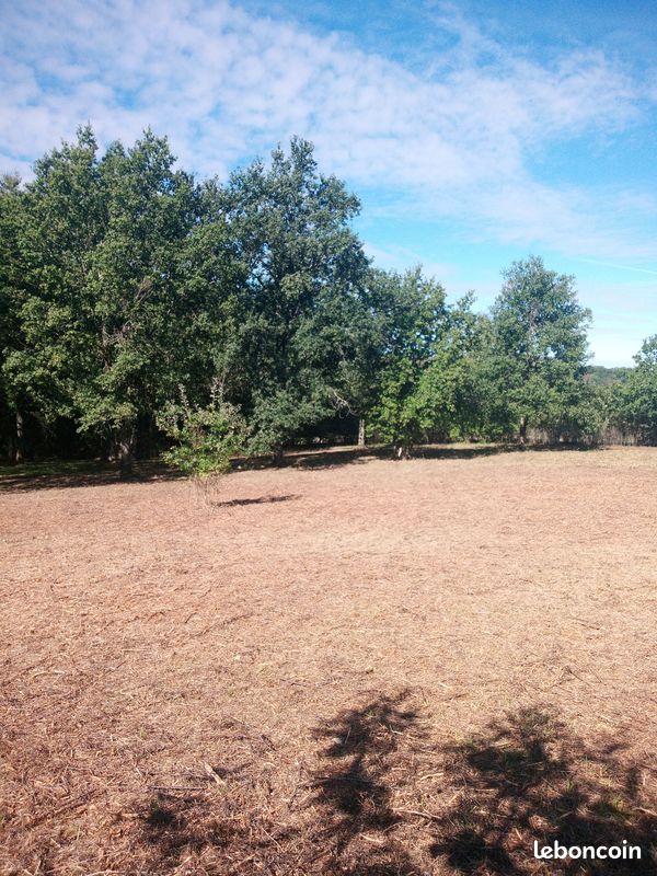 Terrain constructible viabilisé – 3 817 m² – Valençay (36) · à La Vernelle · 45 000 €