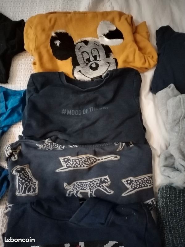 Lot de vêtements garçon taille ans Vêtements