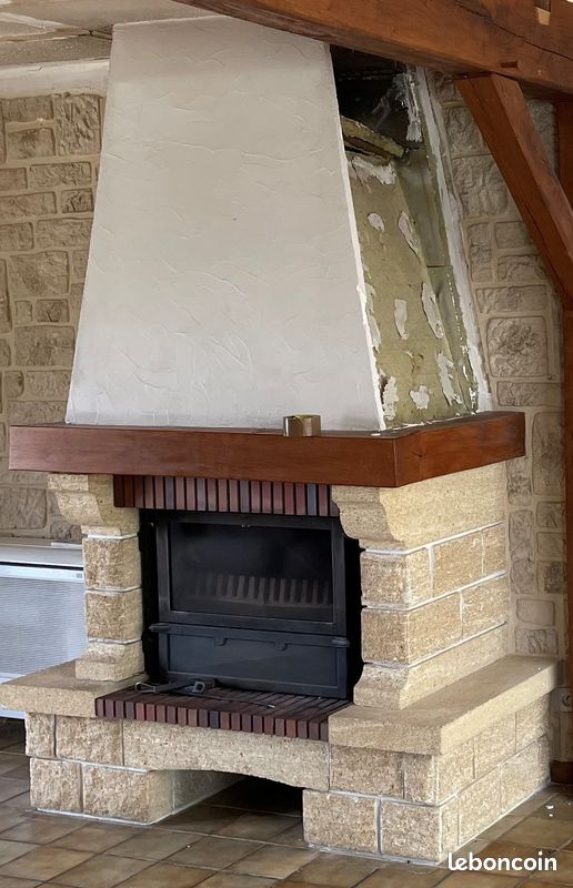 Cheminée + insert (image 1)