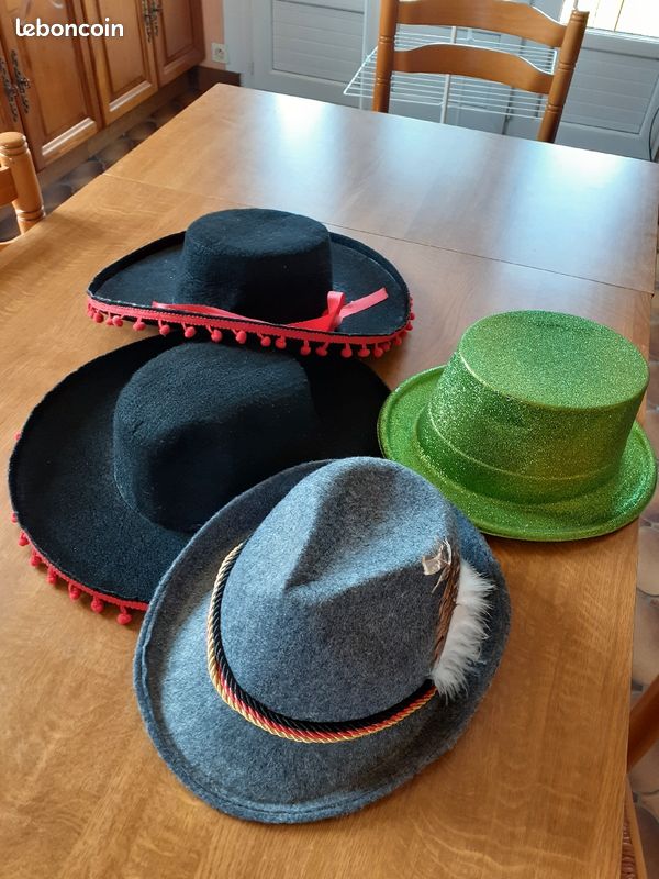 Vend chapeau pour déguisement (image 1)