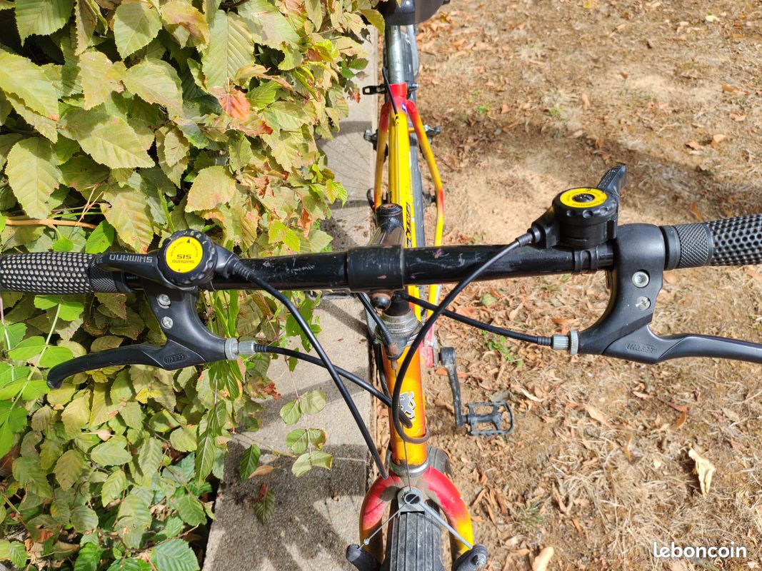 Vélo Homme (image 2)