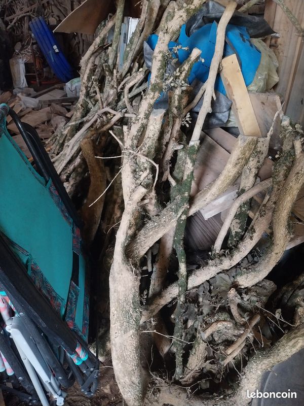 Vends buis sec et frais (image 1)
