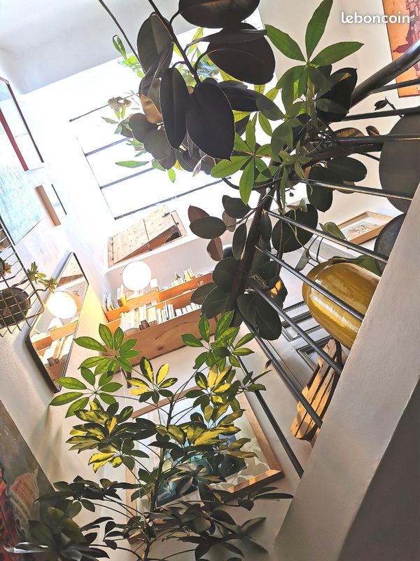 Maison 3 pièces 70 m²