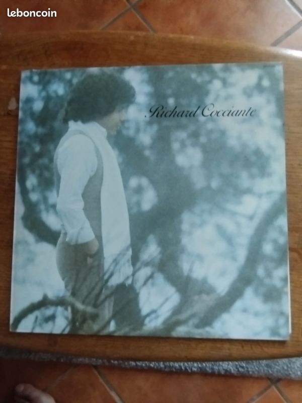 Vinyles 33 tours (image 3)