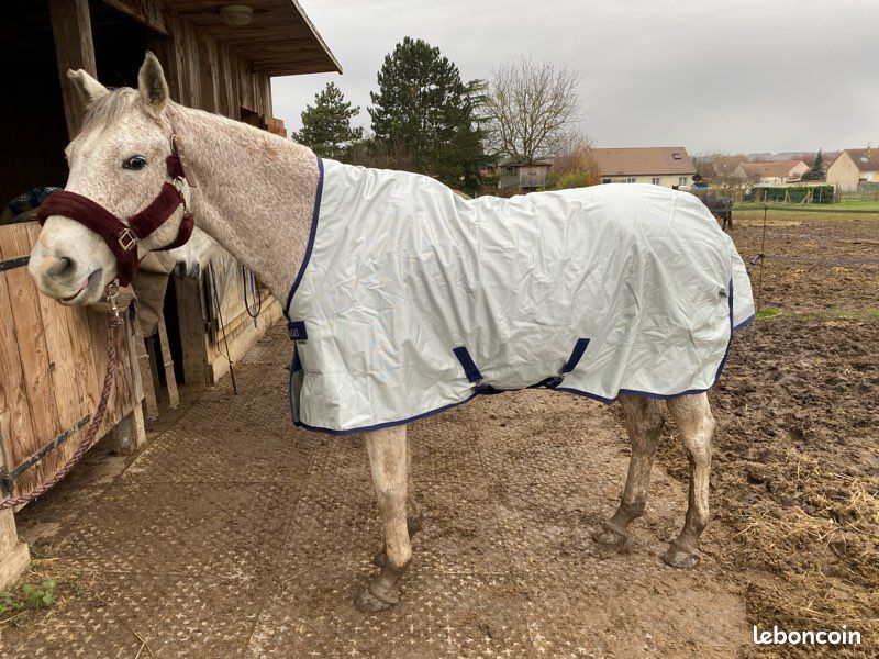 Couverture Cheval Bucas PowerTurnout Light 140 Cm Argentée - Stay-dry, Imperméable, Respirante