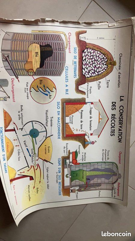 Cartes école (image 3)