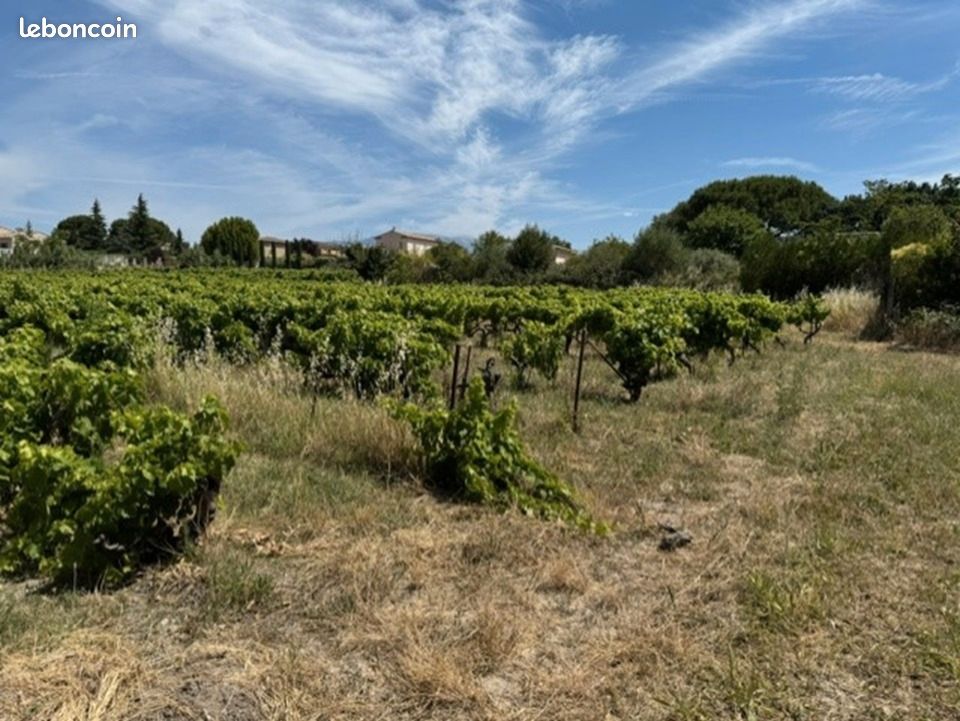 Terrain 729 m² Mazan · 154 000 €