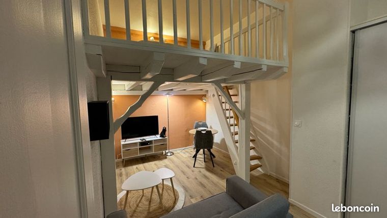 Joli studio meublé rue piétonne Belfort