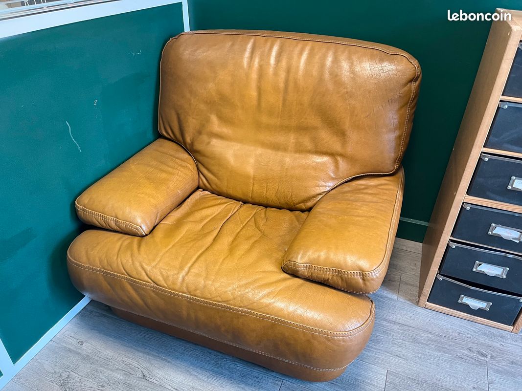 2 Fauteuils en cuir (image 4)