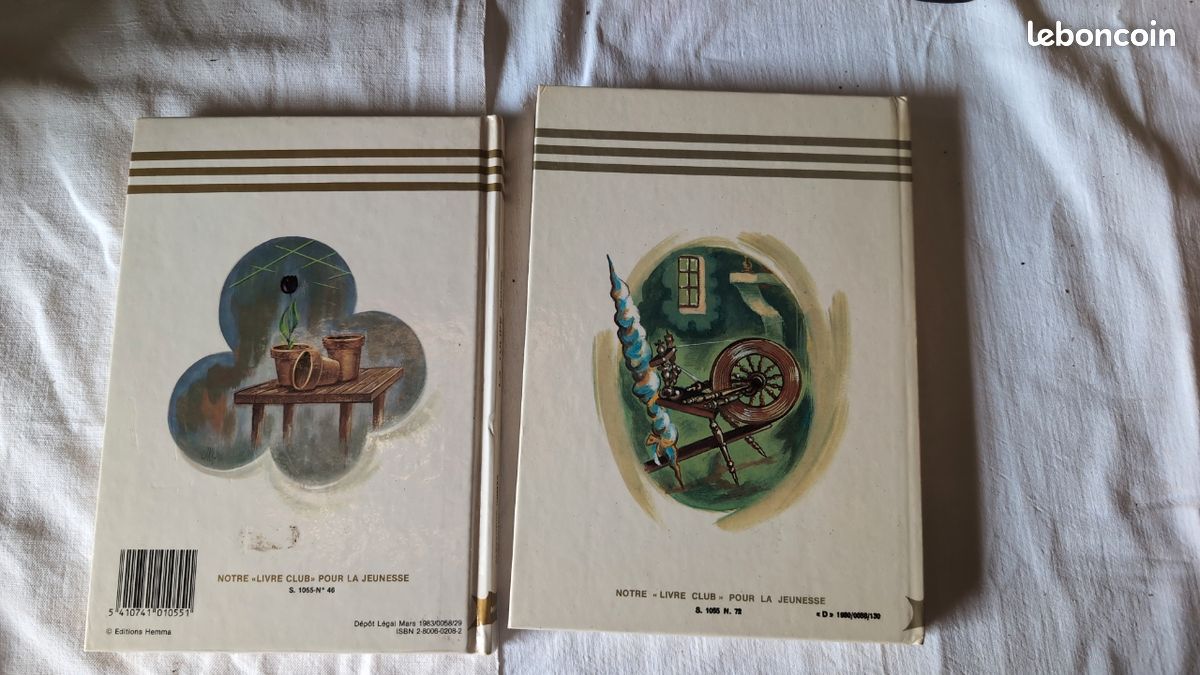 Lot de 2 livres - Collection Hemma jeunesse (image 2)