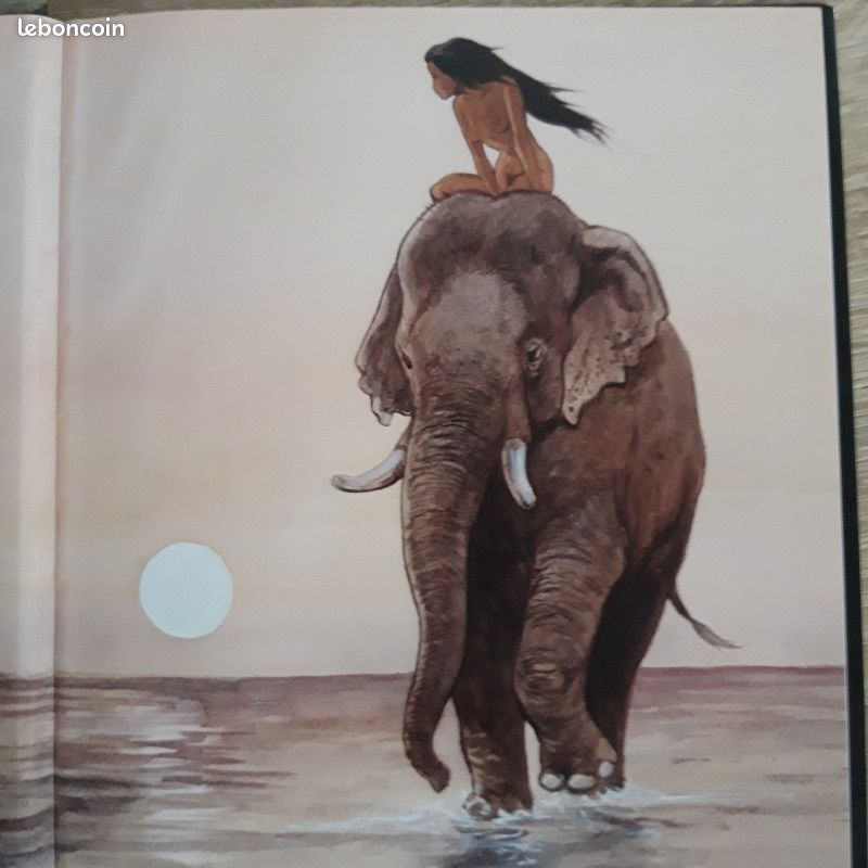 "India Dreams" Intégrale petit format en eo avec jaquette (image 2)