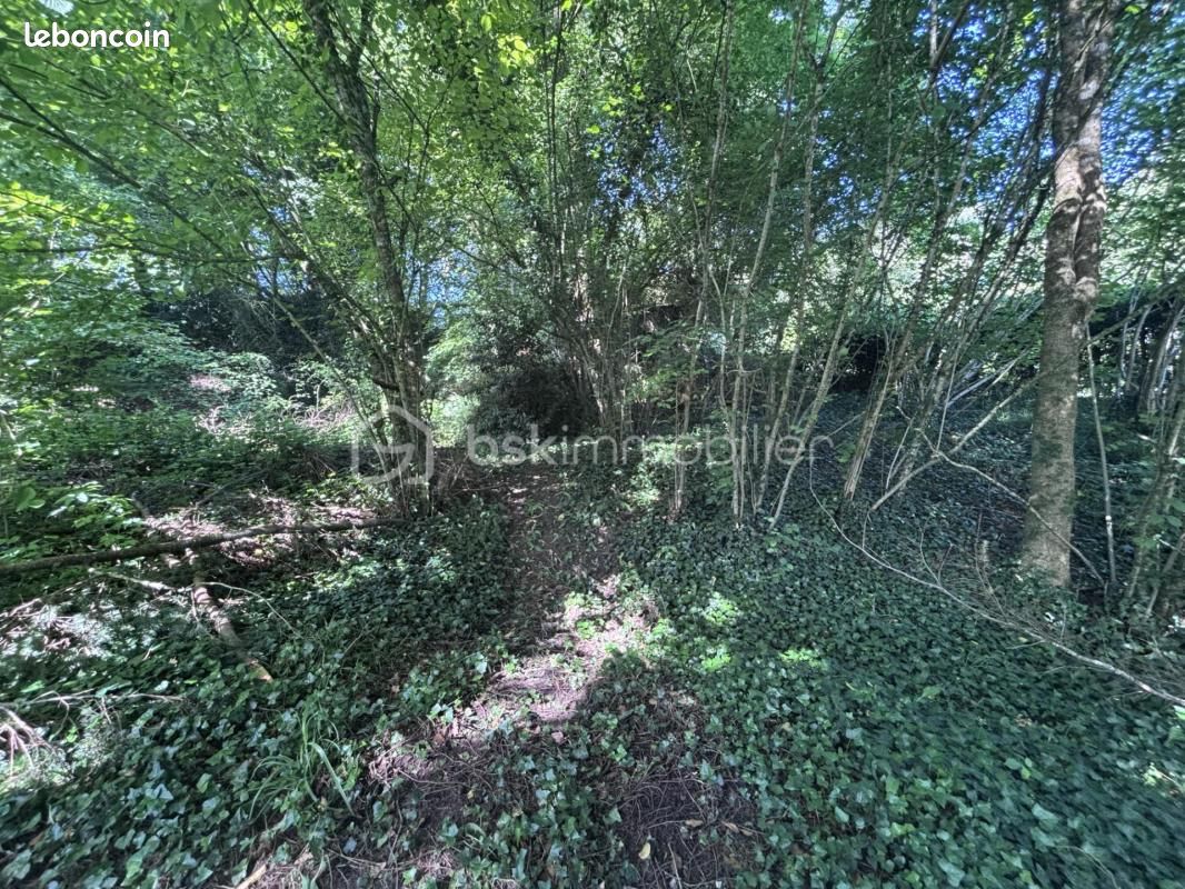 Terrain 689 m² Saint Antoine Du Rocher · à Saint-Antoine-du-Rocher · 62 400 €