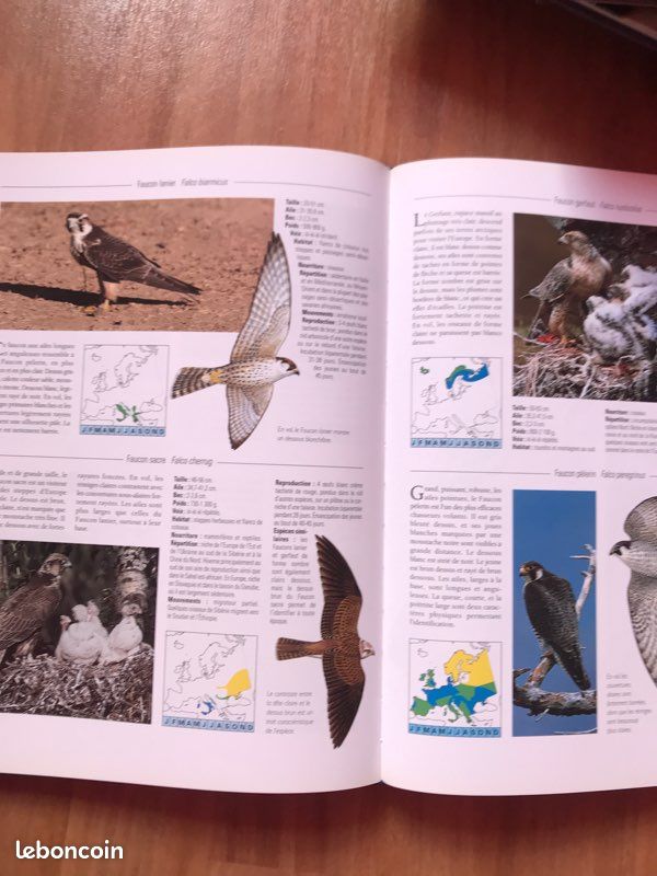 Livre Oiseaux de nos régions (image 2)