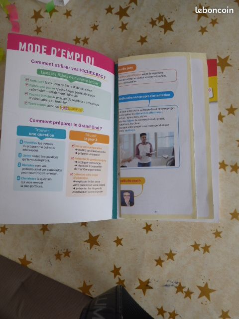 Fiches bac le grand oral (image 3)