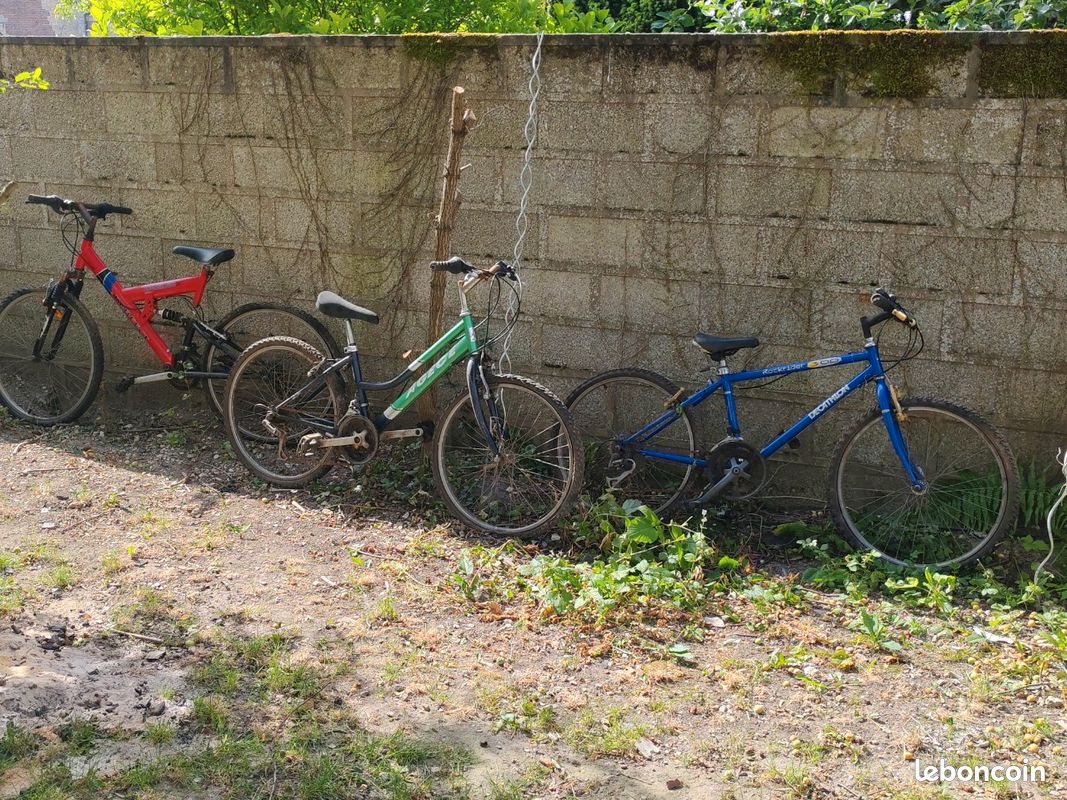 Vtt vert agece (image 5)