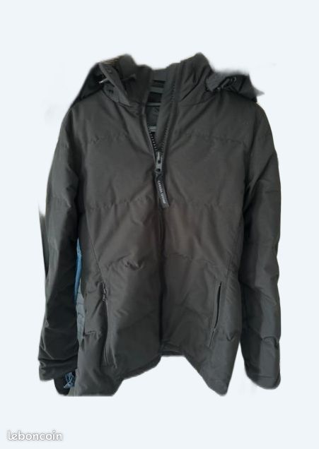 Canada goose (image 1)