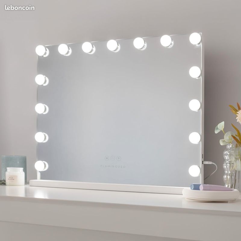 Miroir Coiffeuse - 15 LED - 3 Modes D'Éclairage - Intensité Réglable - Contrôle Tactile - Port USB - Miroir Grossissant Inclus - Blanc - 58x12x48cm [Classe énergétique G] (image 1)