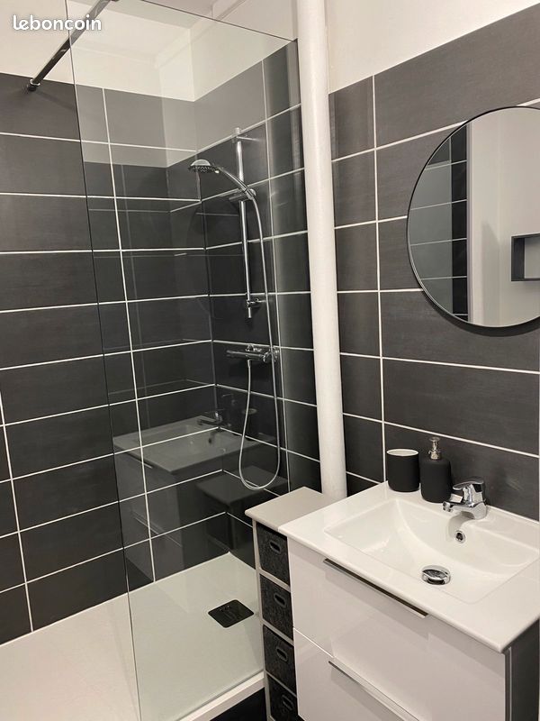 Appartement meublé et décoré à louer - Limoges 87000 Le Sablard Limoges Sud (image principale 2)