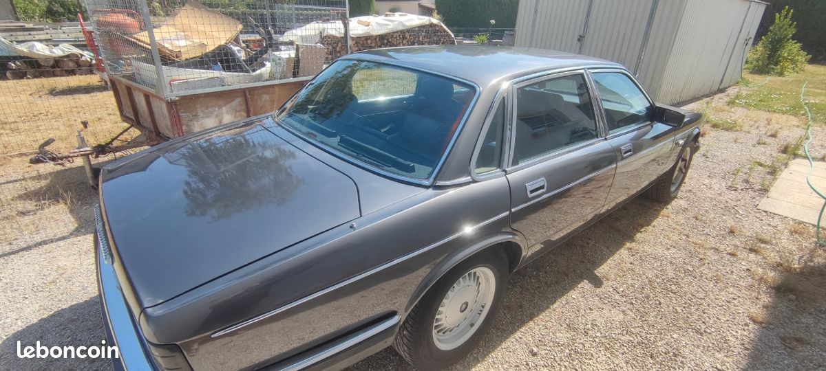 Jaguar (image 1)