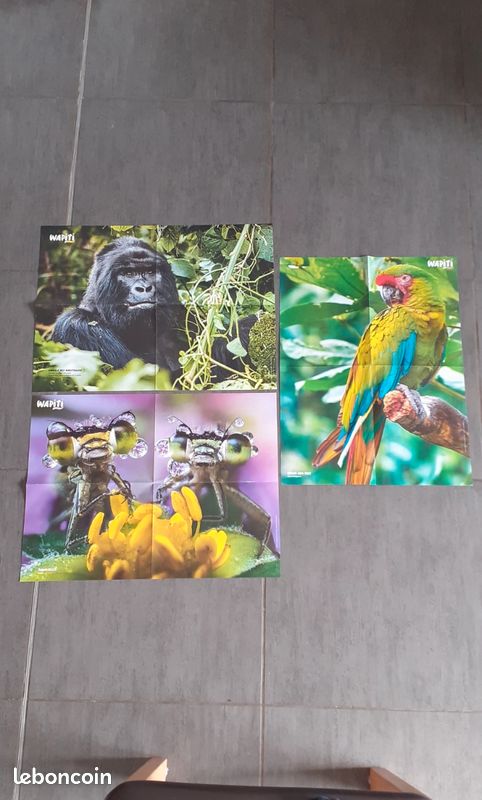 Lot de 3 posters (image 1)