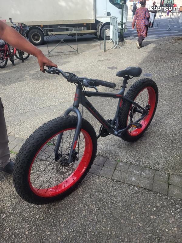 Fat Bike (image 2)