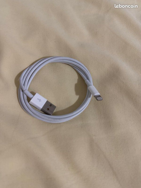 Câble Iphone 1m (image 1)