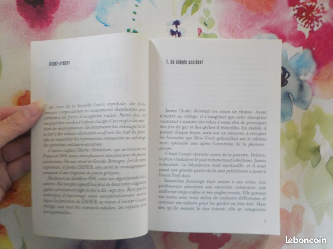 MISSION 01 100 JOURS EN ENFER CHERUB de Robert MUCHAMORE Ed. Casterman (image 6)