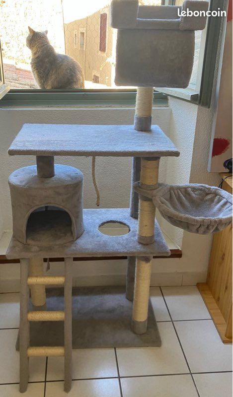 Superbe arbre Ă chat gris clair đŸ (image 1)