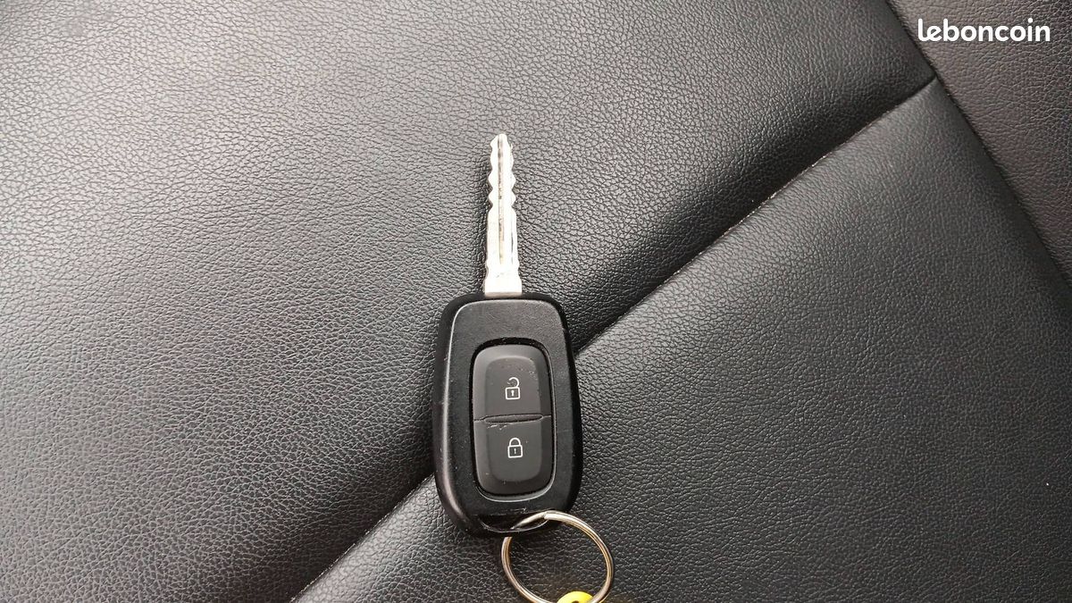 Dacia spring expression (image 28)