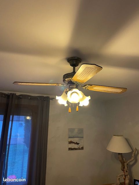 2 Lustres ventilateur (image 1)