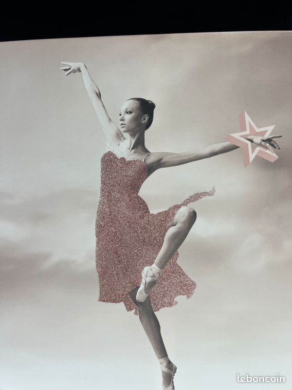 Toile danseuse rose et gris 70x100 cm (image 2)