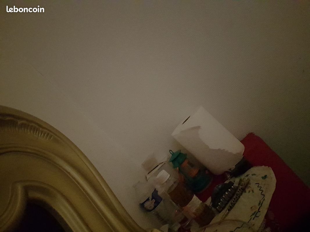 Bonjour madame monsieur, je recherche un travail de nettoyage d'hôtel, je sais que si quelqu'un a vr (image 1)