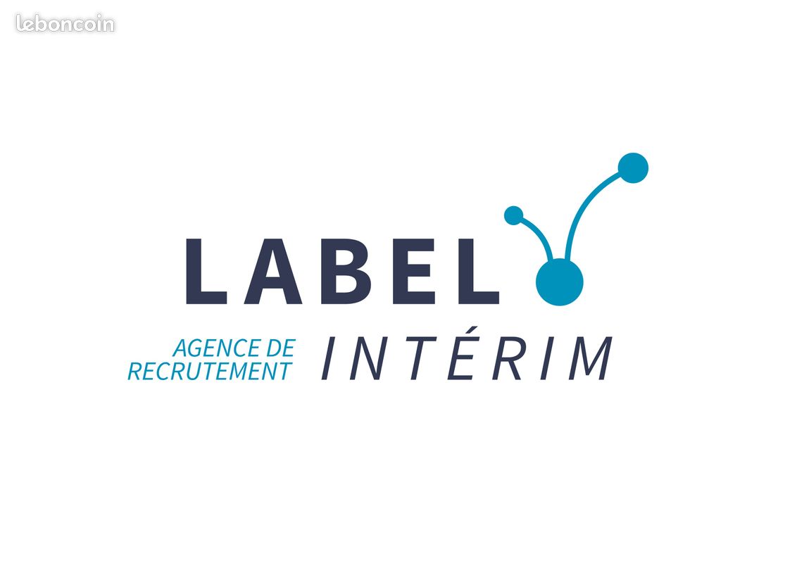 Operateur travaux en hauteur (H/F/X) (image 1)