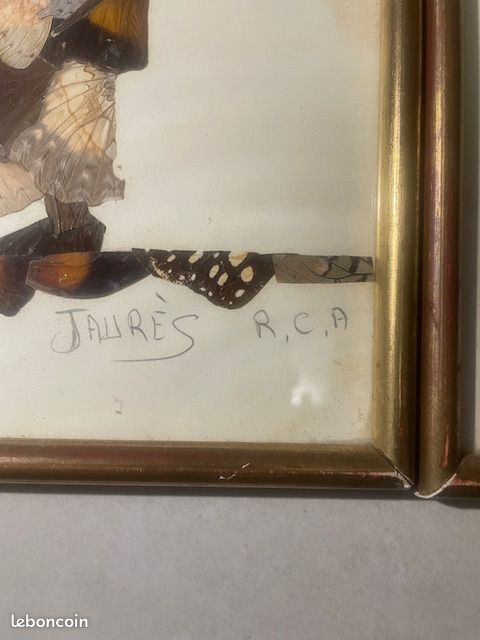Très rare tableaux réalisé en ailes de papillons (image 4)