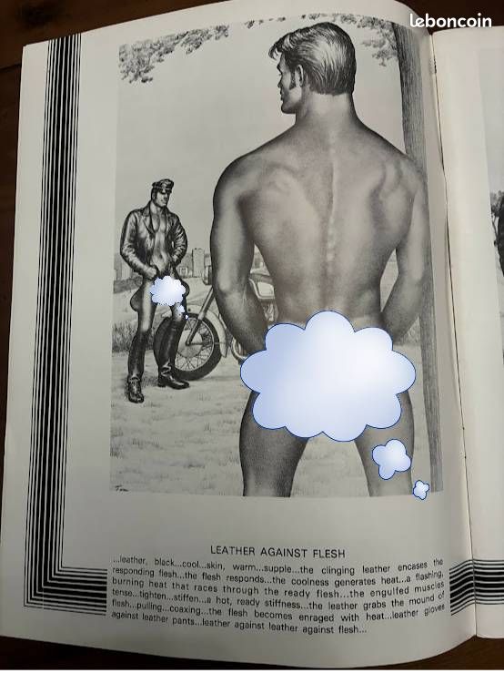 Bande dessinée rare, pour Adultes : "The Men by Tom of Finland " Edition 1984 (image 3)