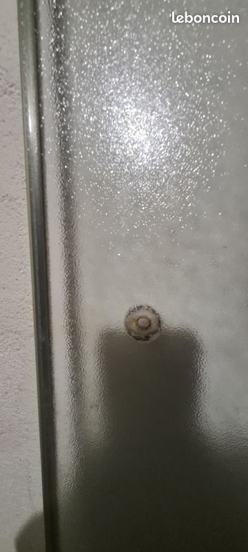 Porte de douche 174 x 73 cm (image 7)