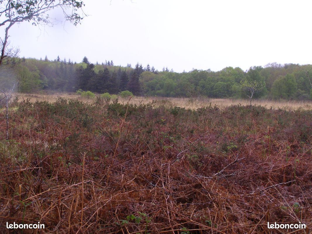 Action de chasse grand gibier 2025-2026 (image 2)
