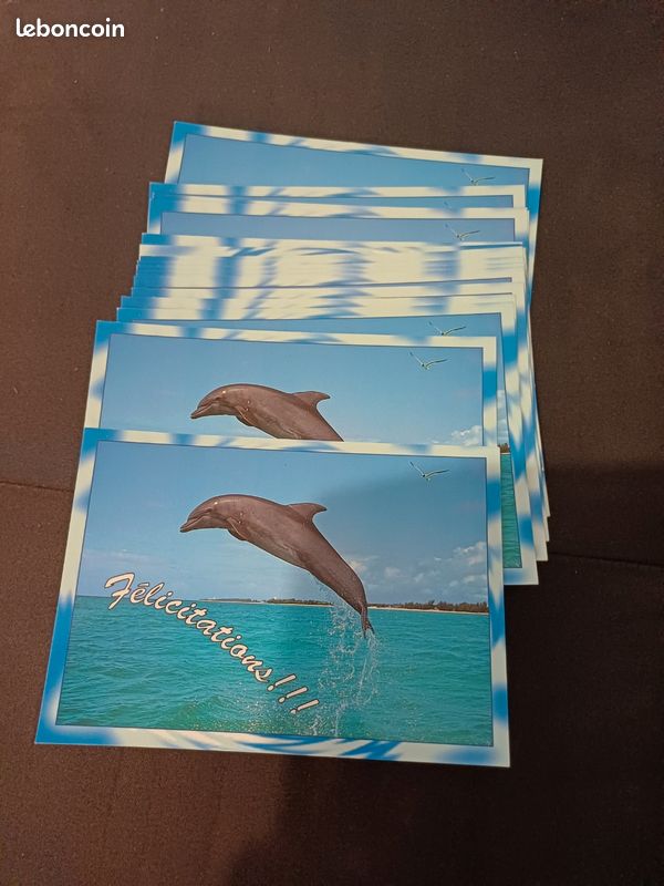 Lot de 19 cartes postales (image 1)