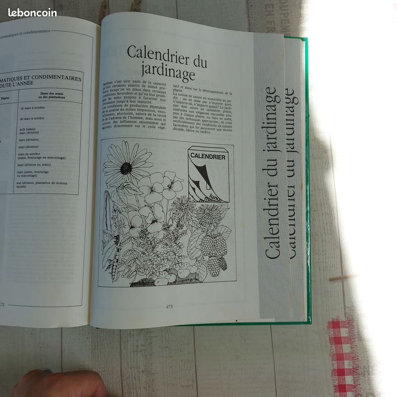 Livre Tout le jardin en 1000 photos 1992 (image 4)