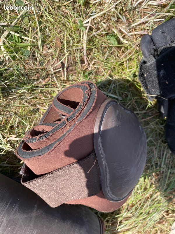 Lot protections cheval (image 4)