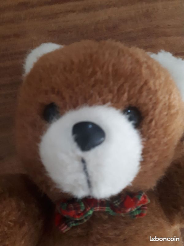 Ourson en peluche (image 4)