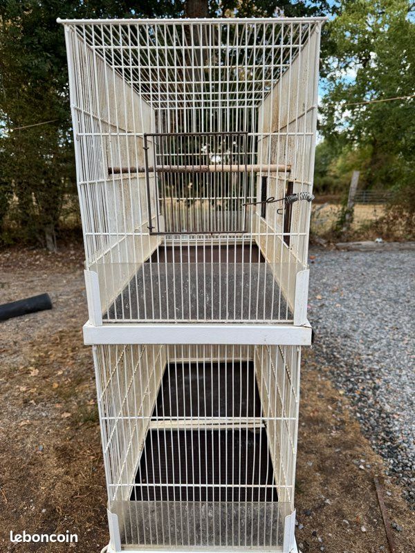 Cage oiseaux (image 3)