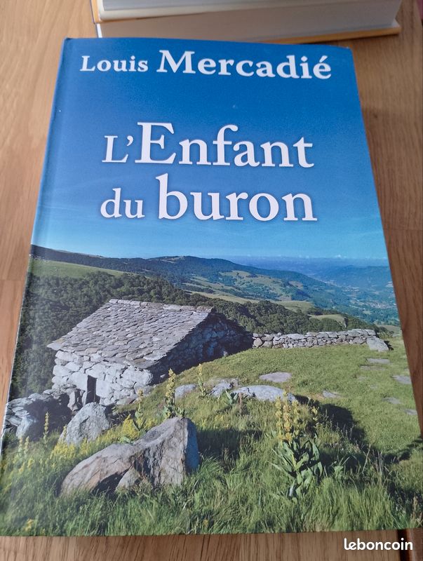Livre l enfant du buron (image 4)