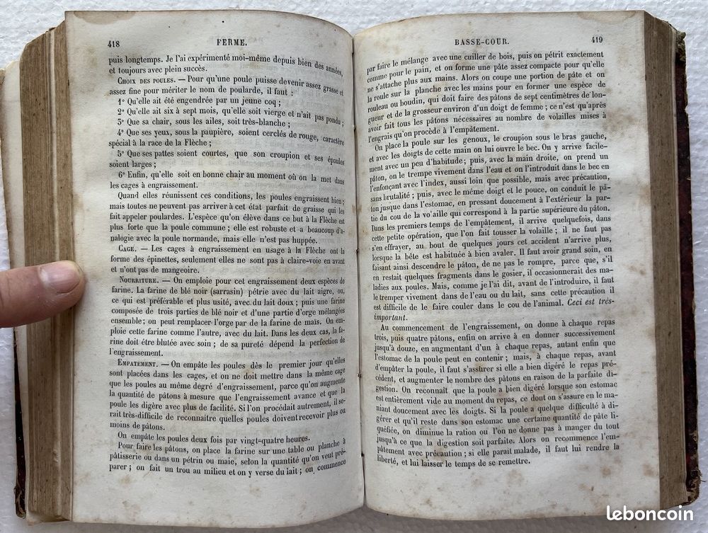Maison rustique des dames tome 2 par Mme Millet Robinet fin 19ème siècle (image 8)